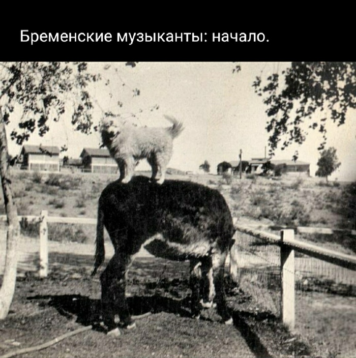 ��� �������� ��������