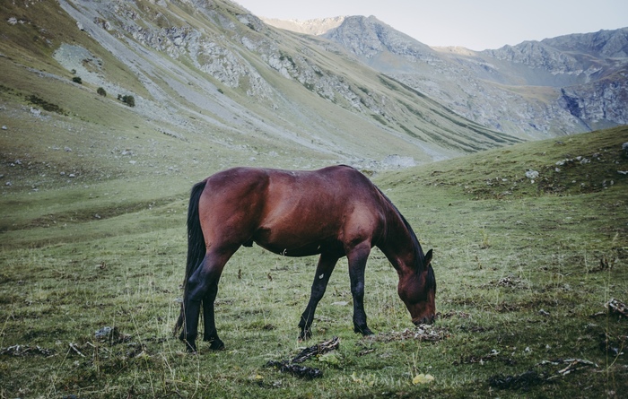 В горном Архызе осенью. Часть 2 Путешествия, Туризм, Горы, Поход, Кавказ, Путешествие по России, Горный туризм, Палатка, Длиннопост