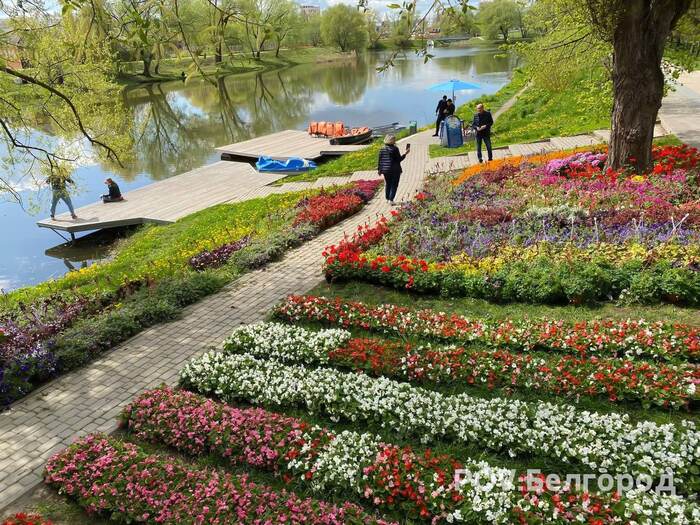 River in Tsvetu - Belgorod, Spring, May, Flowers, River, Belgorod region, Longpost