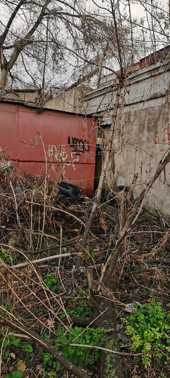 The Chistomena League before the May guidelines - Longpost, Vertical video, Video, No rating, Primorsky Krai, Ecology, Cleaning, Garbage, Vladivostok, Chistoman, My