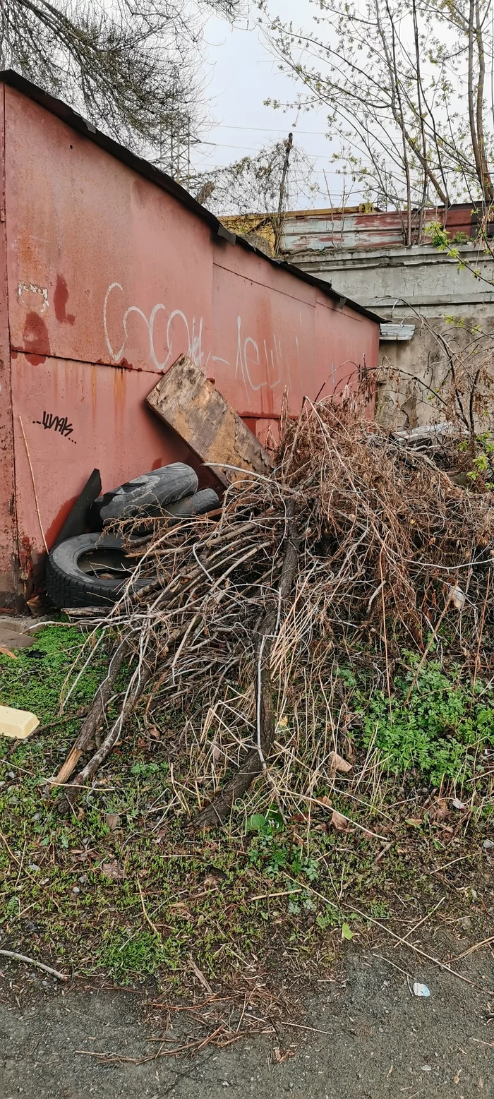 The Chistomena League before the May guidelines - Longpost, Vertical video, Video, No rating, Primorsky Krai, Ecology, Cleaning, Garbage, Vladivostok, Chistoman, My