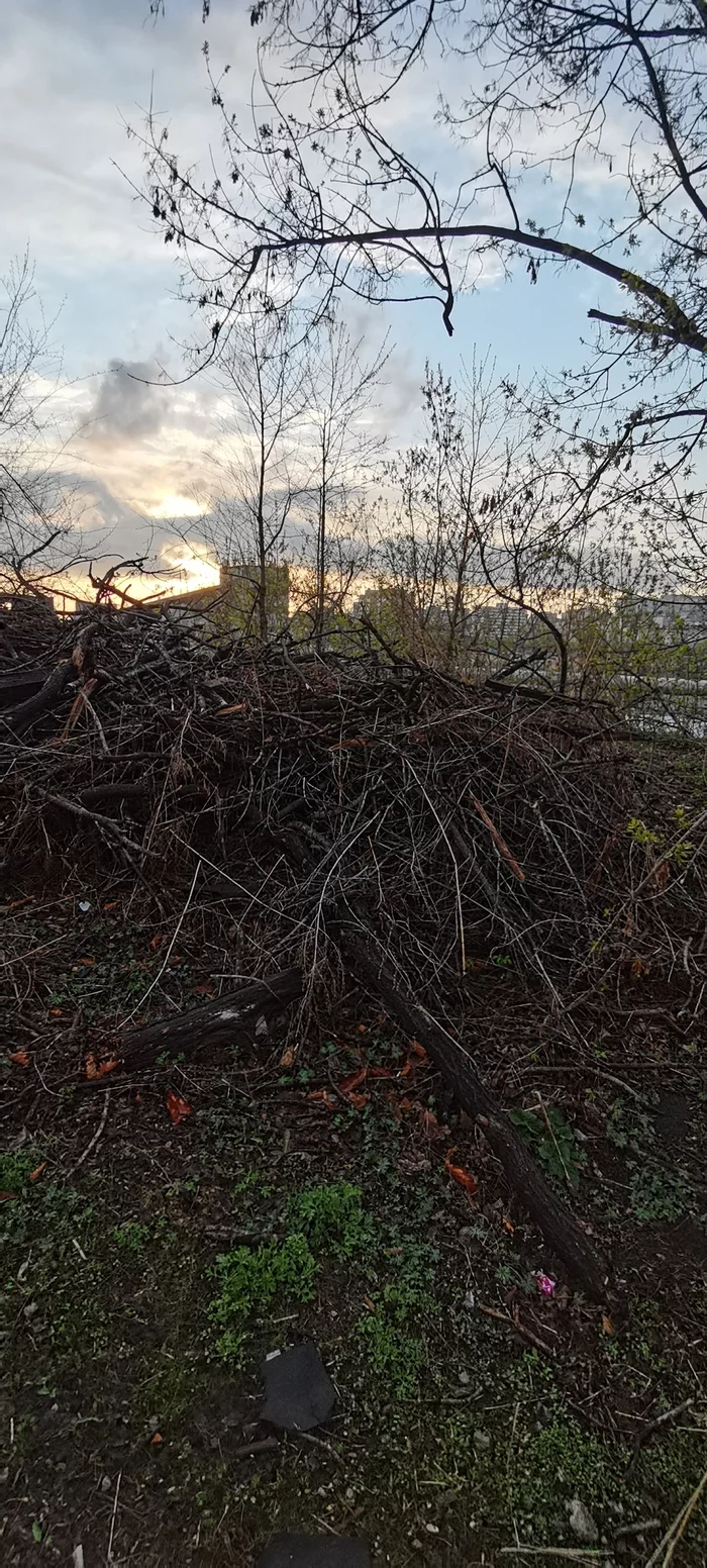 The Chistomena League before the May guidelines - Longpost, Vertical video, Video, No rating, Primorsky Krai, Ecology, Cleaning, Garbage, Vladivostok, Chistoman, My