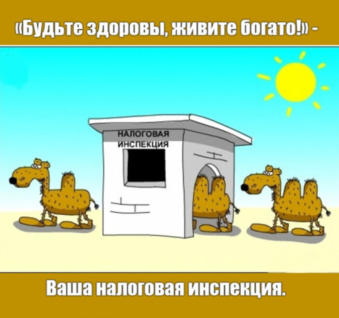 Трогательная забота )) Жизнь, Налоги, Налоговая декларация, Ирония, Юмор, Налоговая инспекция, Картинка с текстом