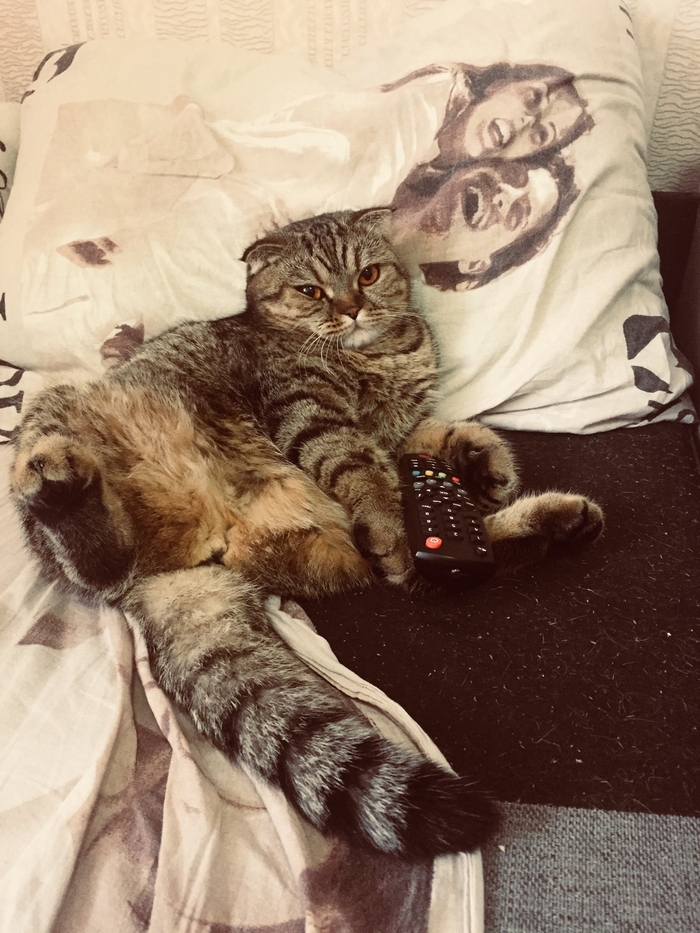 ����� �� ��������