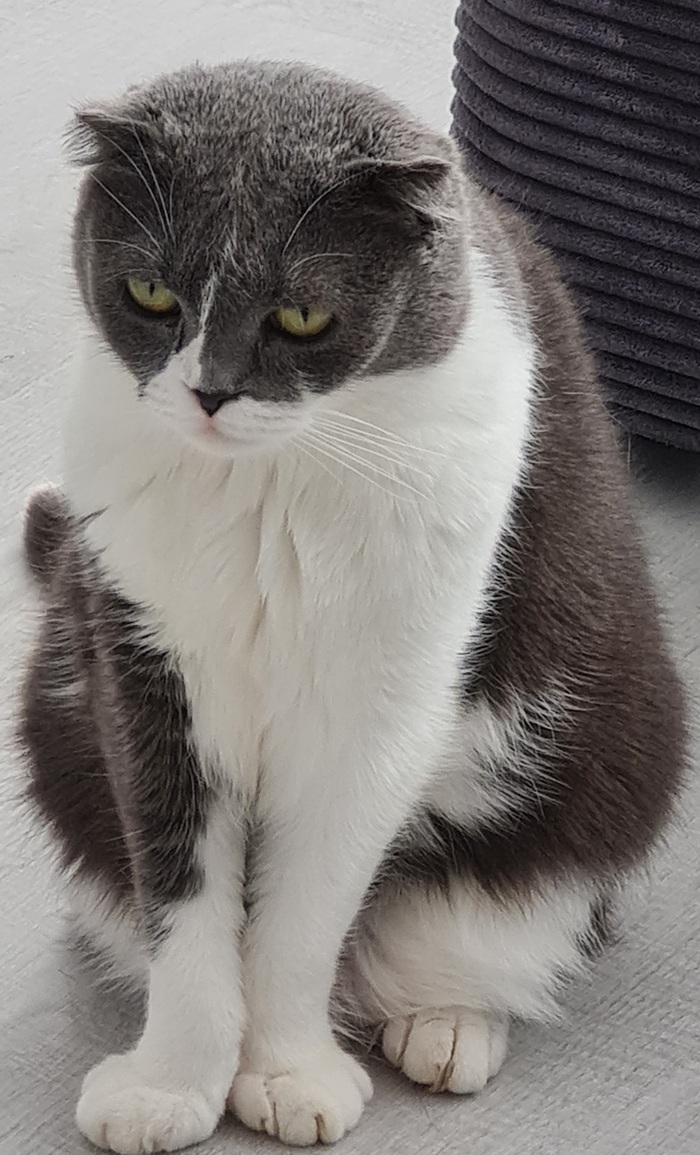 Отчёт за апрель Похудение, Помощь, Пари, Спор, Спорт, Работа над собой, Длиннопост