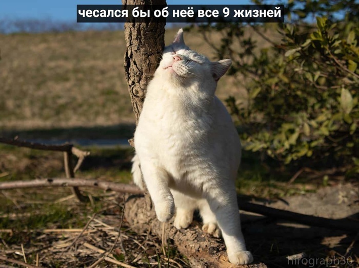 ������� [ ������ ] ���, ���������, �����, ���������, ����������, �������� � �������