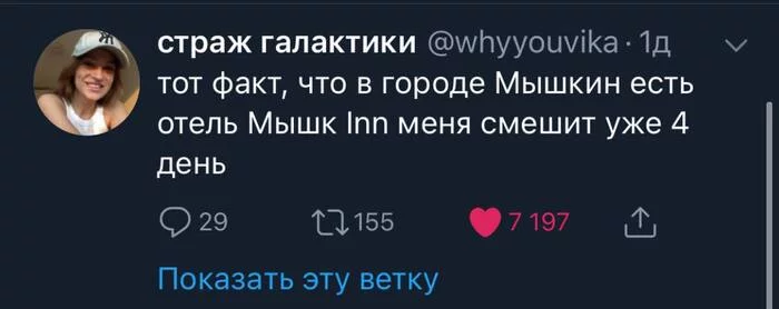 Мышкин - Юмор, Картинка с текстом, Скриншот, Мышкин, Twitter