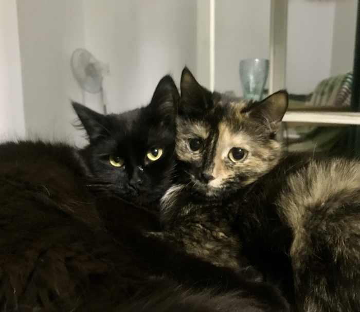 �������