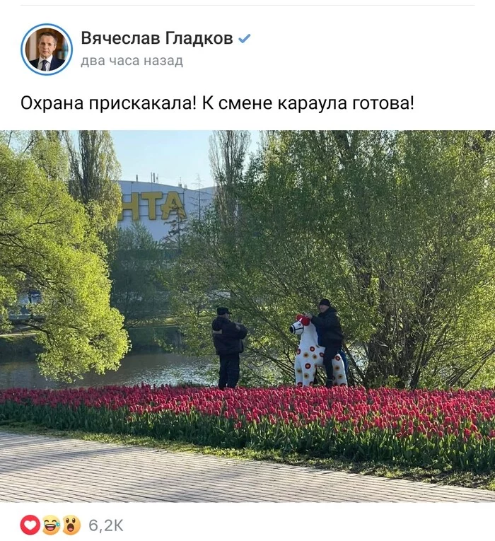 Security jumped in - Belgorod, Security, The governor, Humor, Spring, People, Screenshot