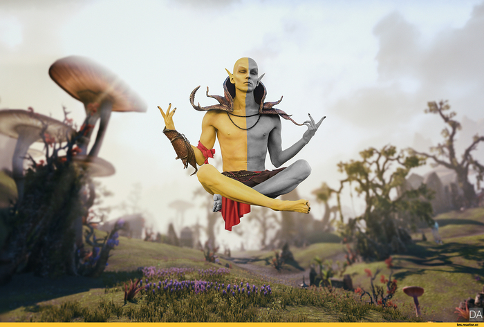 1 мая Morrowind исполнилось 20 лет! Как бы выглядели герои в реальной жизни? +Ссылки на Morrowind на Андроид The Elder Scrolls, The Elder Scrolls III: Morrowind, Косплей, Игры, RPG, Моды, Длиннопост