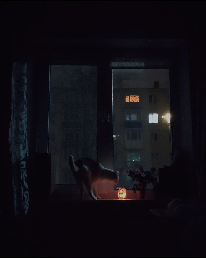 Cat, window sill, candle, night - My, The photo, Xiaomi Mi9, Mobile photography, Photographer, cat, Night, Cosiness, Pets, Photo on sneaker, Interesting