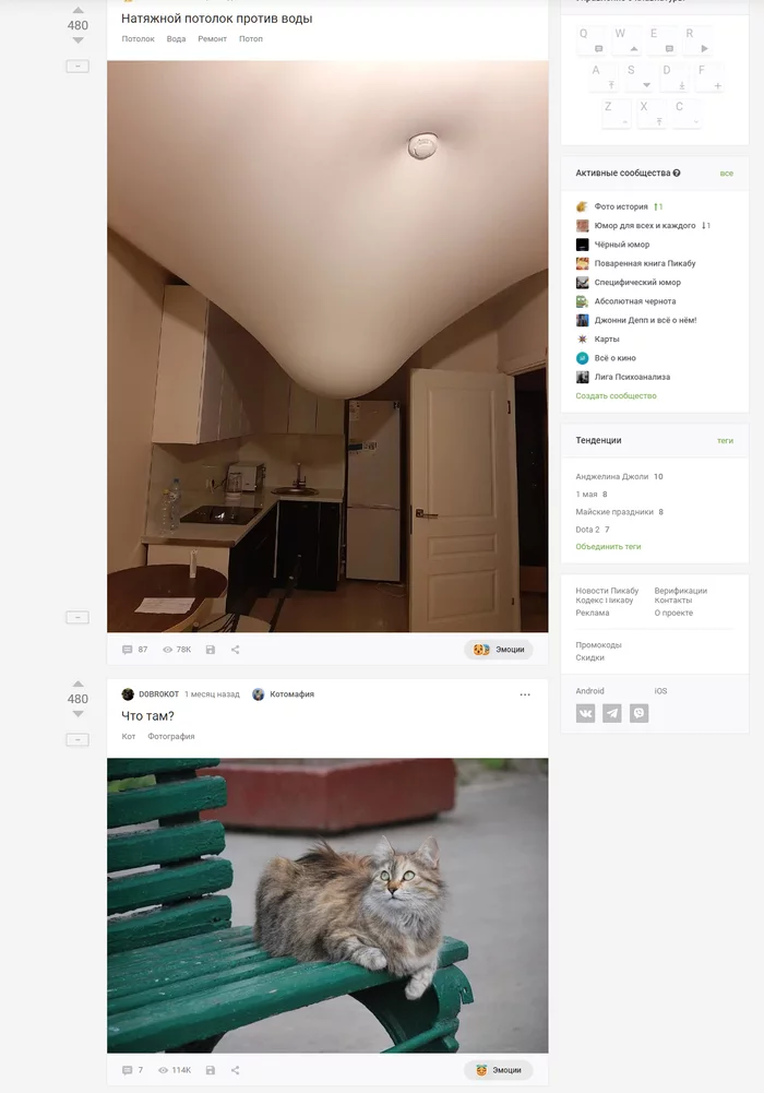 What's in there? - cat, Stretch ceiling, Interesting, Matching posts, Screenshot