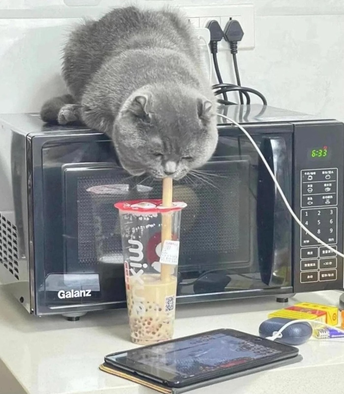 �������-�� ������ ��������