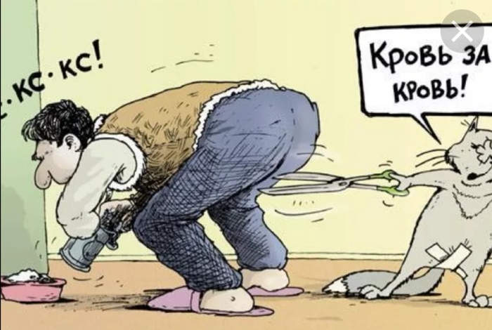 ����� �� �����