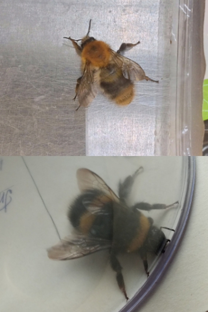 ��� �� ����