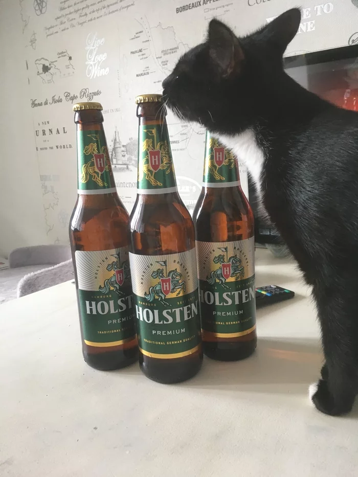 Hurrah! Weekend! - My, cat, Kittens, Beer, Holsten