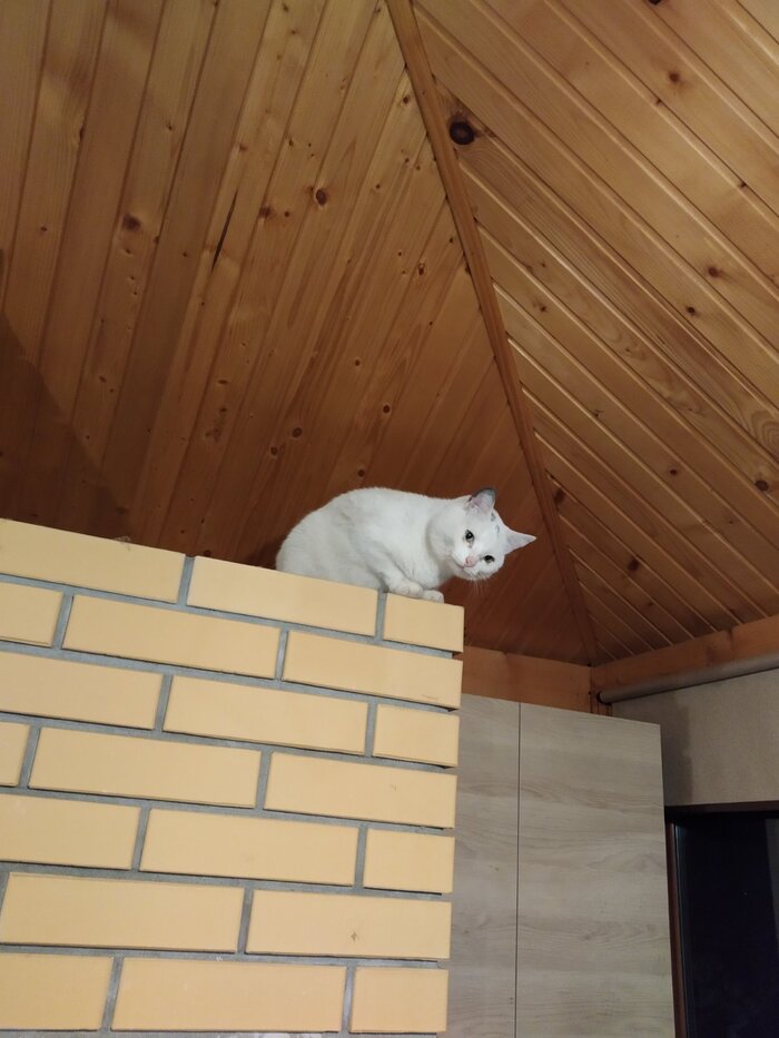 ��� ������ ����� ��...