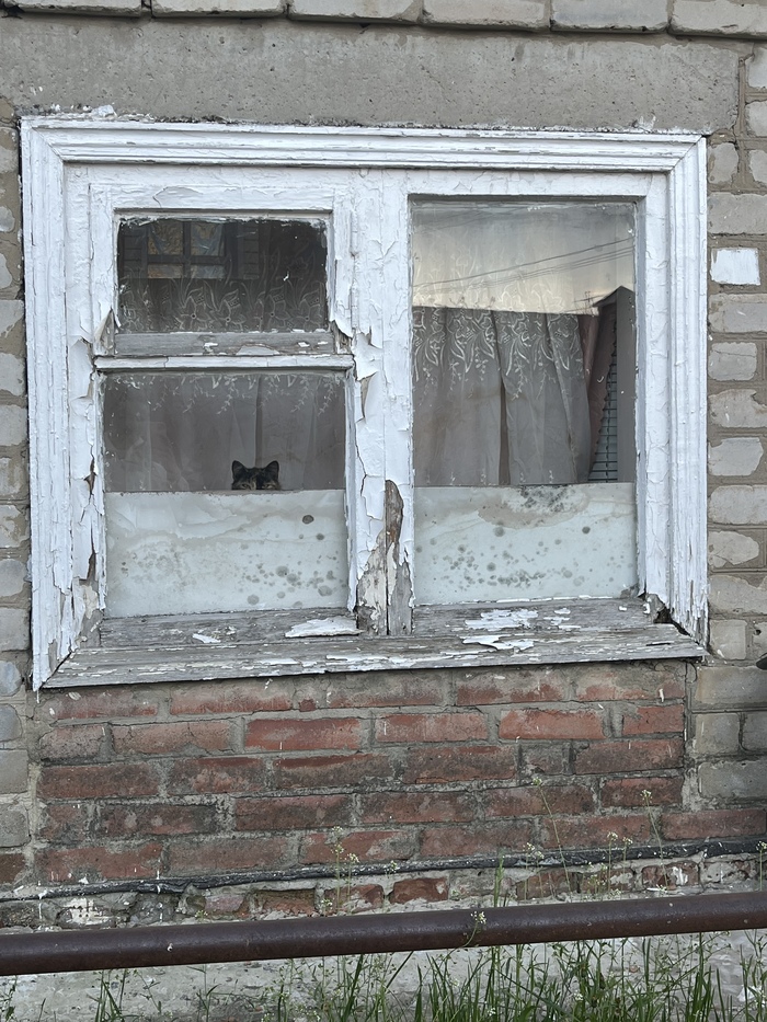 Видеонаблюдение