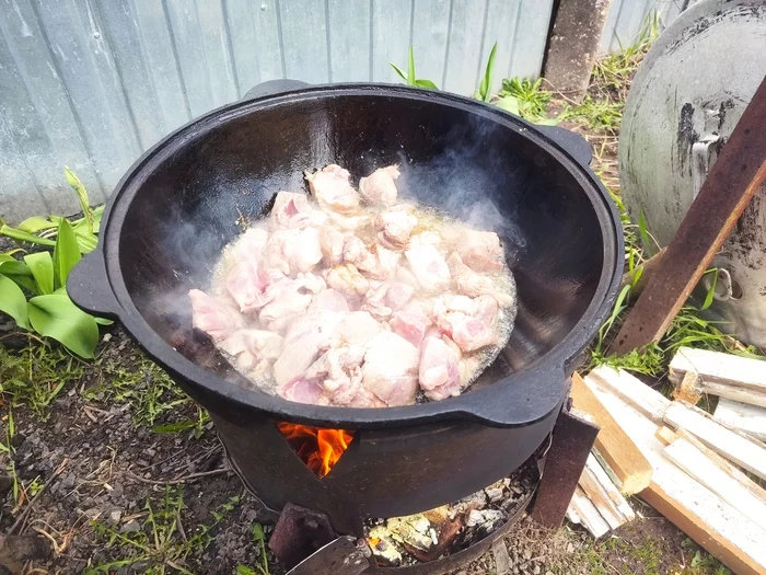 Not all kebabs are for May! - My, Pilaf, The May holidays, May, Kazan, Dacha, Video, Longpost