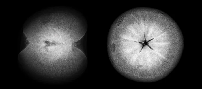 Apple in two projections - My, The photo, X-ray, Apples, Postprocessing