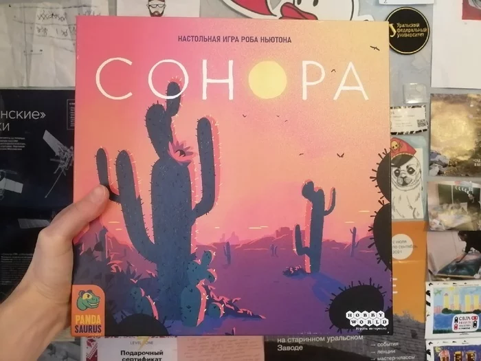Board game Sonora: click to count, count to win - My, Overview, Board games, Longpost