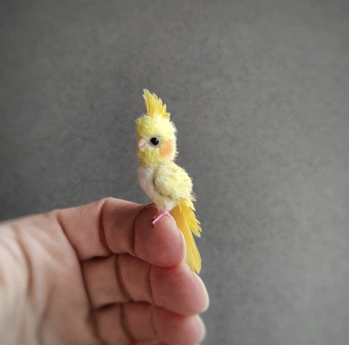 ��� ��������� )