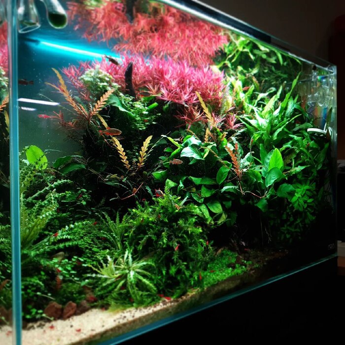 Маленький аквариум - это хорошо, это надёжно. Даже если он протечет, то все можно будет собрать тряпочкой в стакан