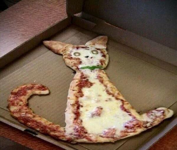 Pizzacot - Pizza, cat, Food, Humor