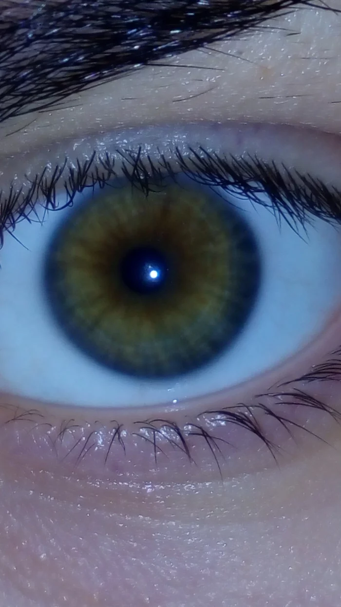 What is the eye color? - My, Eyes, And more