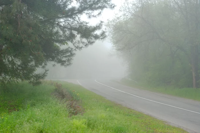 Morning in foggy colors - Beginning photographer, Nikon, I want criticism, Black and white, Kittens, Bridge, Longpost