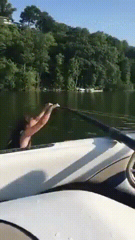 ,   , , , 