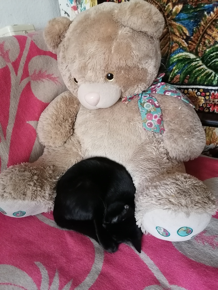 ����� ���