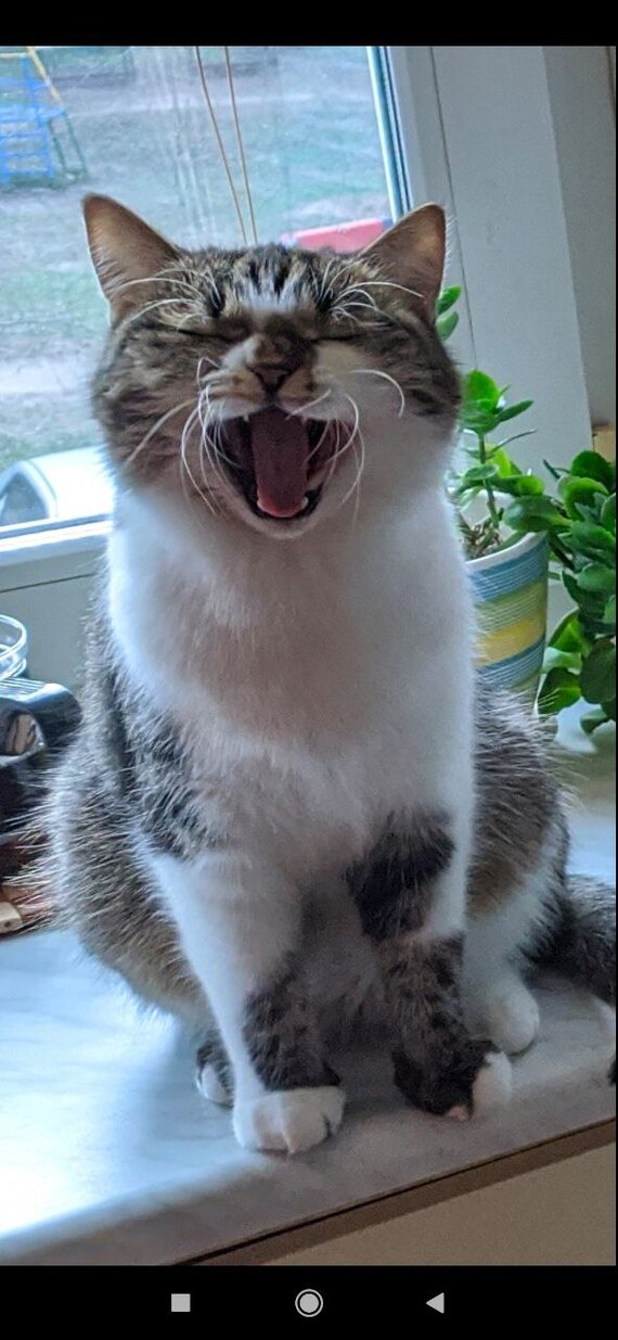 ������ ������ ������ ����