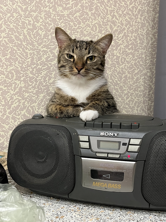 ������ ��������?