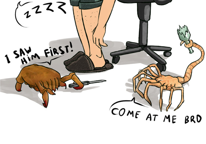 Битва за голову