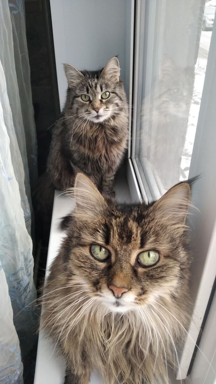 ���� "������ �� ���������"