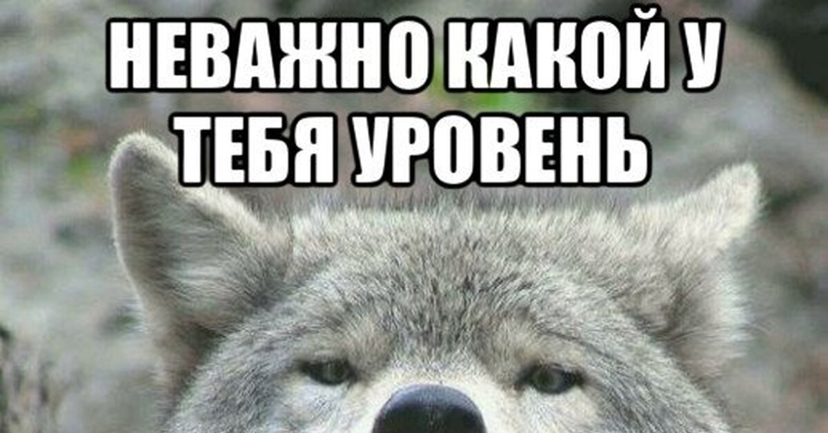 Ауф смешные картинки