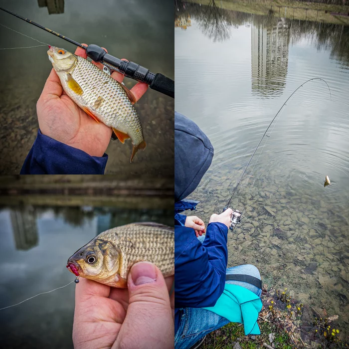 Budget spinning for mormyshing and nanojig. Black Adder Nano. Which version to choose - My, Video, Youtube, Longpost, Fishing, Fishing rod, Spinning, Mormyshka, Carp, Perch, Microjig, Video blog