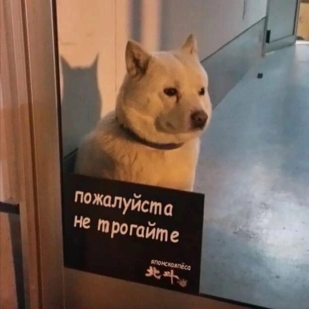 Japanese Dog - Dog, Табличка, Yearning, Do not touch