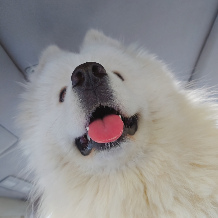 А ты точно раньше целовался?Да!