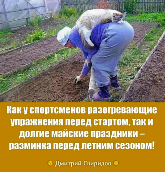 We lie well!))) - My, Spring, May, Holidays, Nature, Dacha, cat, Redheads, Humor, Lie, Memes, Relaxation, Picture with text, Longpost