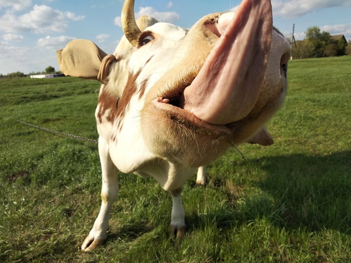 ����� � ��������