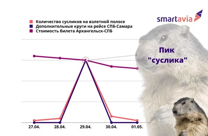 Продолжение поста «Пассажирский самолёт ушёл на второй круг из-за сусликов на полосе» - Новости, Суслик, Авиация, Второй Круг, Boeing, Smartavia, Ответ на пост