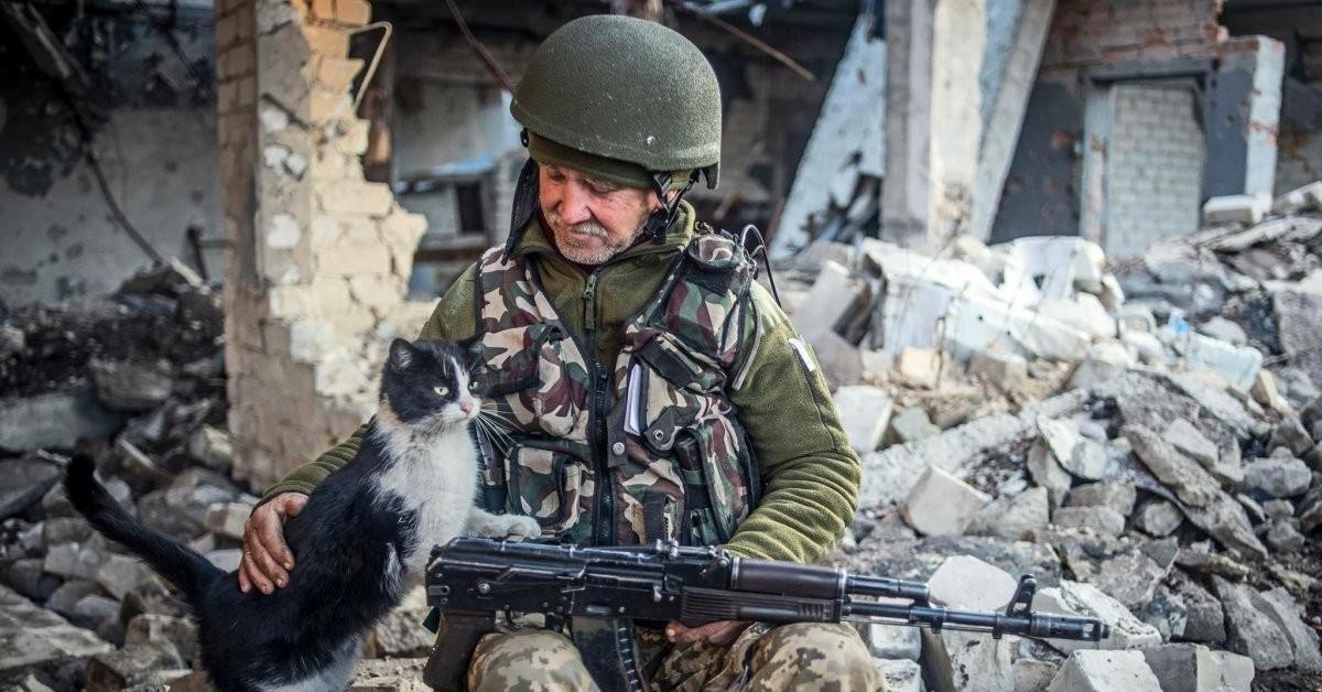 Кот И Военные
