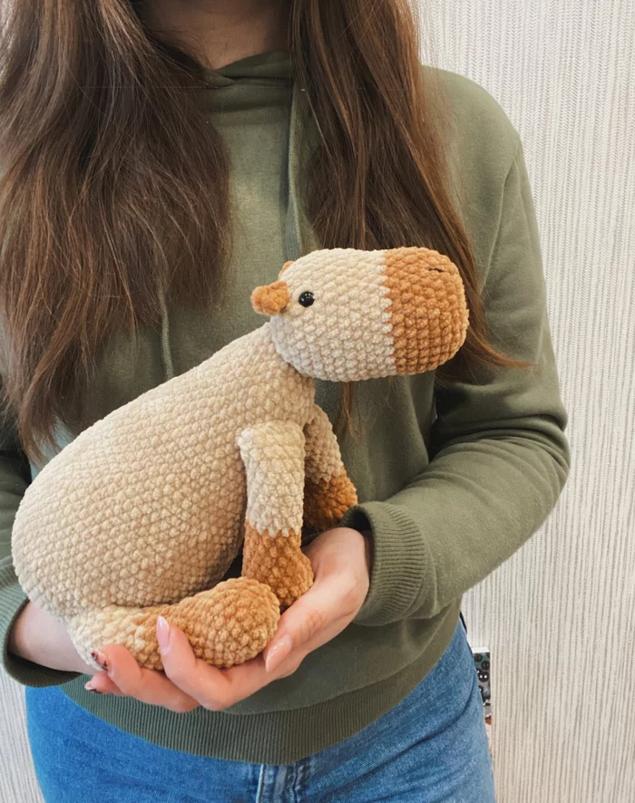 Capybara. - My, Amigurumi, Handmade, Knitting, Crochet, Knitted toys, Toys, Plush Toys, Plush yarn, Needlework, Needlework without process, Hobby, Creation, With your own hands, Author's toy, Capybara
