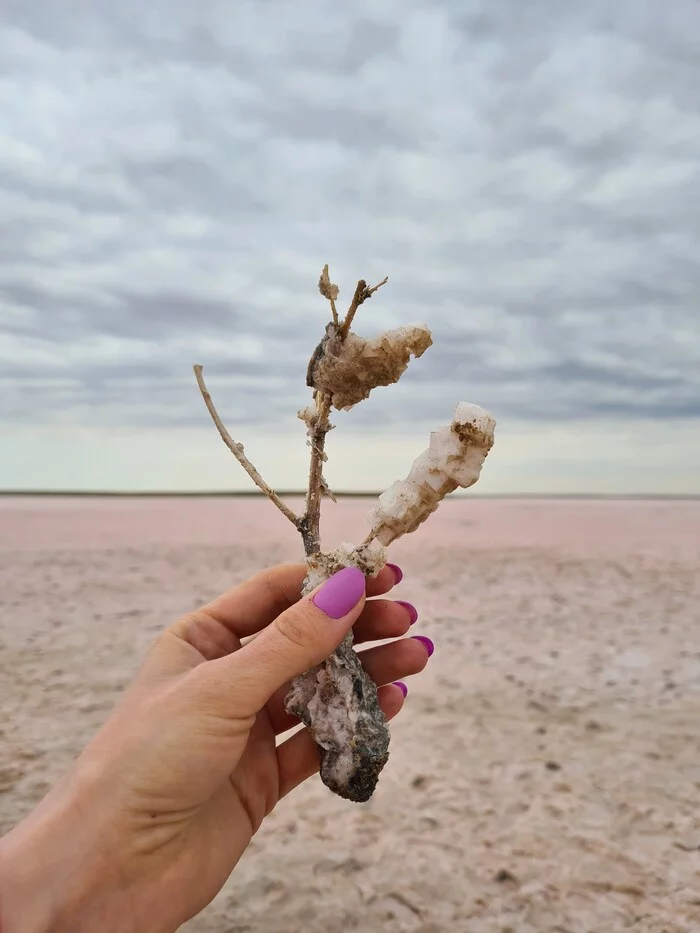 pink salt crystals - Beautiful, Nature, Russia, beauty of nature, Amazing, Lake, Kalmykia, Mobile photography, Longpost