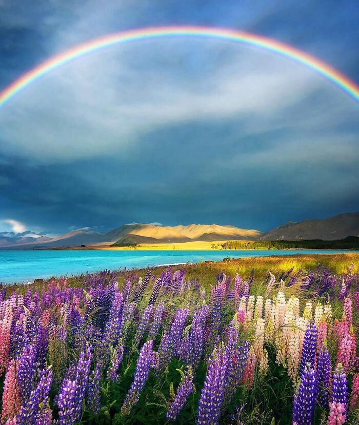 Rainbow over Lake Tekapo. New Zealand - Interesting, Around the world, The national geographic, New Zealand, Rainbow, beauty, beauty of nature