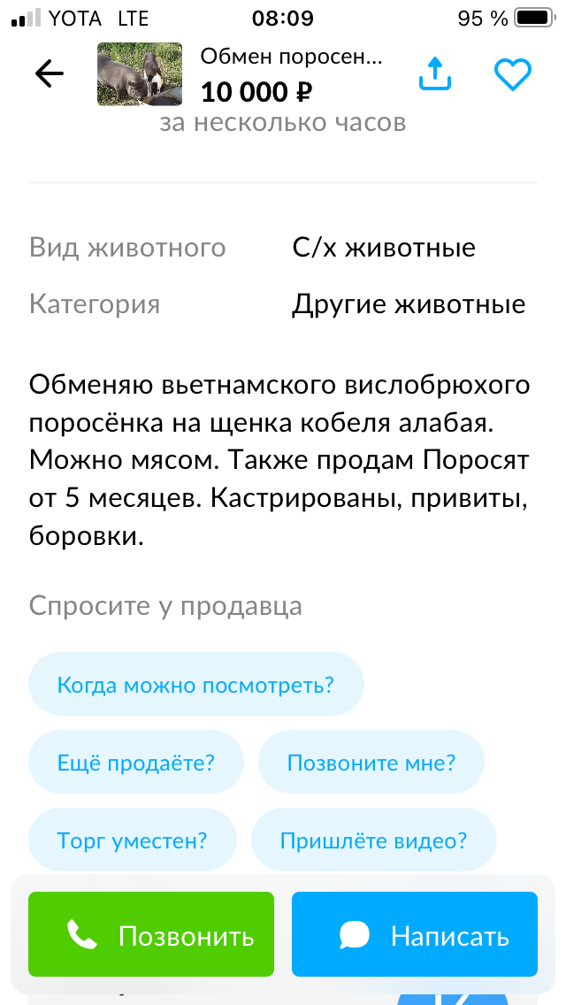 Килограмм за килограмм - Юмор, Черный юмор, Авито