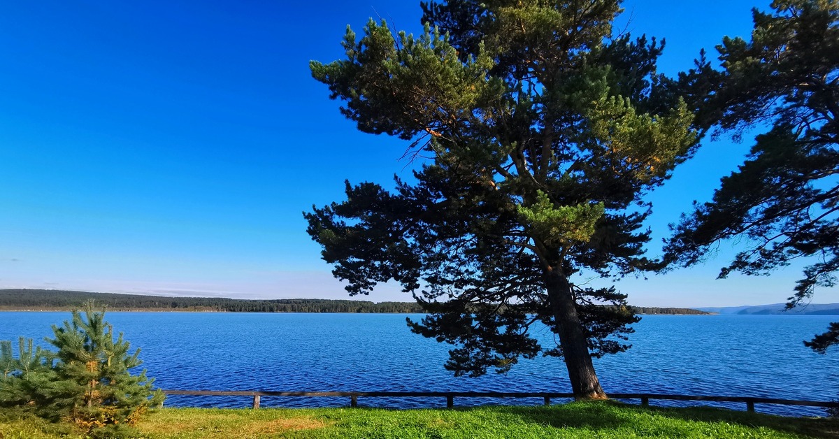 Берег ангары 2. Берег ангары Иркутск. Иркутск Ангара, зелёный мыс. Берег ангары фото.