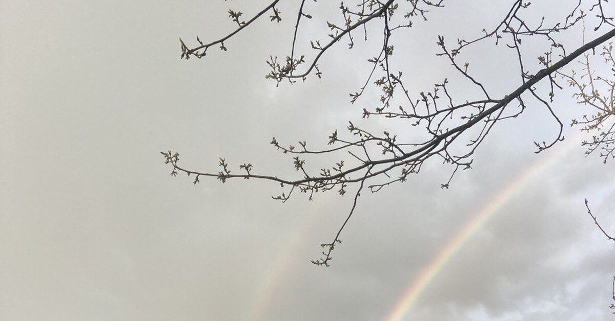 Утренняя радуга | Пикабу